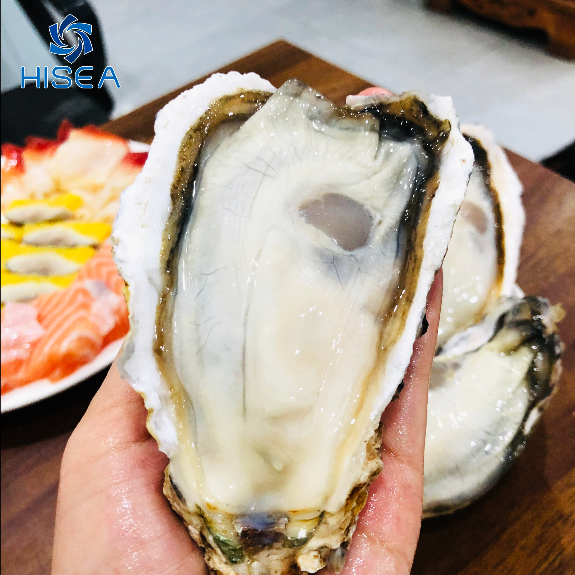 2 Fruit De Mer  ảnh Con Hàu miễn phí  Pixabay