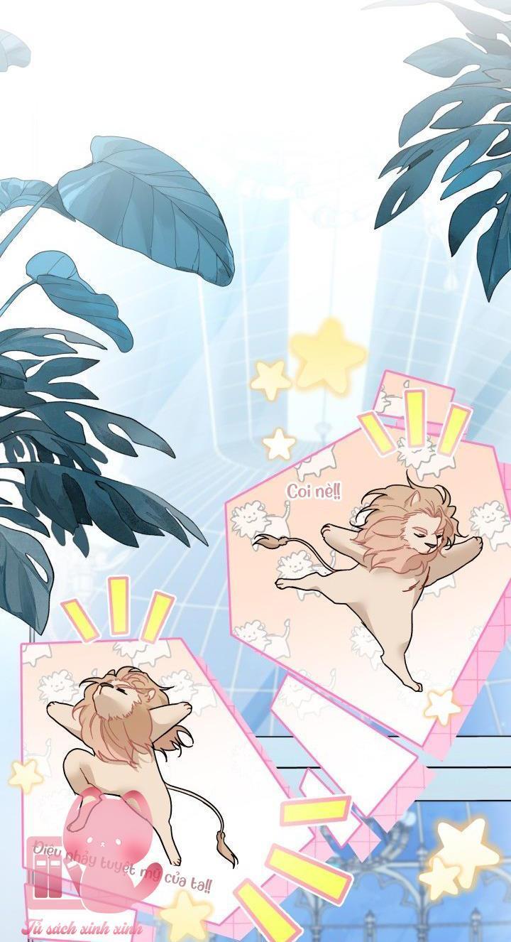 quan hệ cộng sinh giữa báo đen và thỏ trắng chapter 108 3