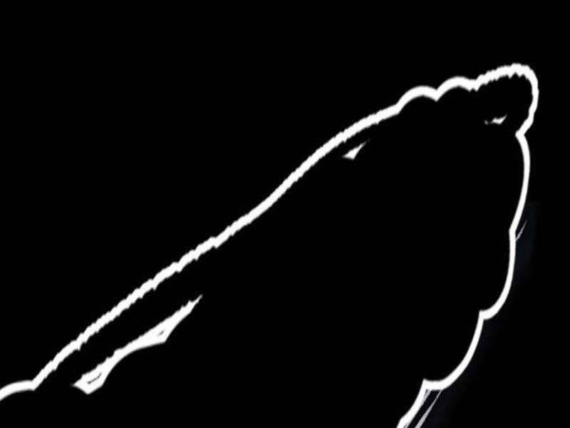 Thể Thao Cực Hạn chapter 492.5 217