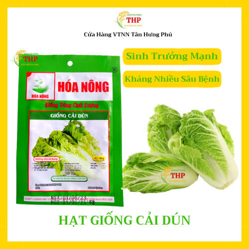 Hạt giống Cải Dún | Hạt giống | gói 10gr