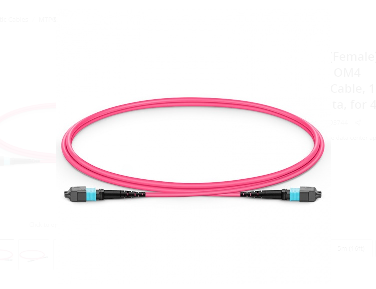 Dây nhảy quang MTP to MTP Female, OM4, 16 Fibers Elite Trunk Cable sample - Xmethod Network - Hàng chính hãng