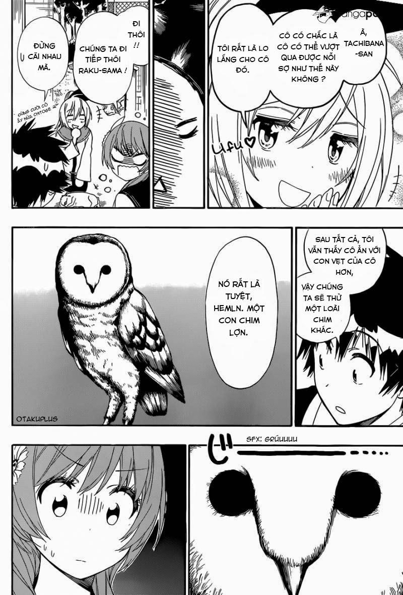 nisekoi - tình yêu giả tạo chapter 142 8