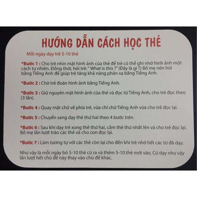 Bộ Thẻ Học Thông Minh cho bé 18 Chủ Đề thẻ học Glenn Doman loại to song ngữ Flashcard