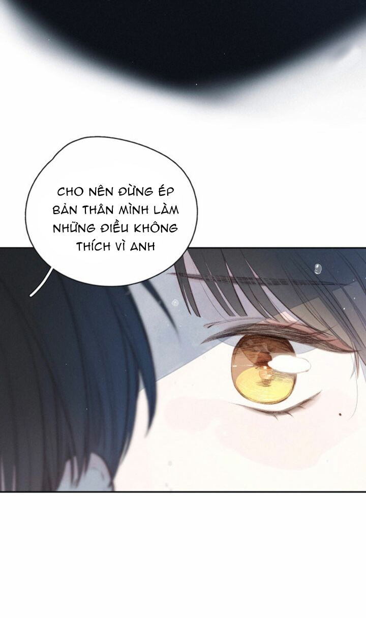 nỗi buồn của hoa cẩm tú cầu chapter 49 24