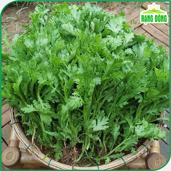 Hạt giống Rau Tần Ô Trồng Quanh Năm, Sinh Trưởng Khỏe - Hạt giống Rạng Đông