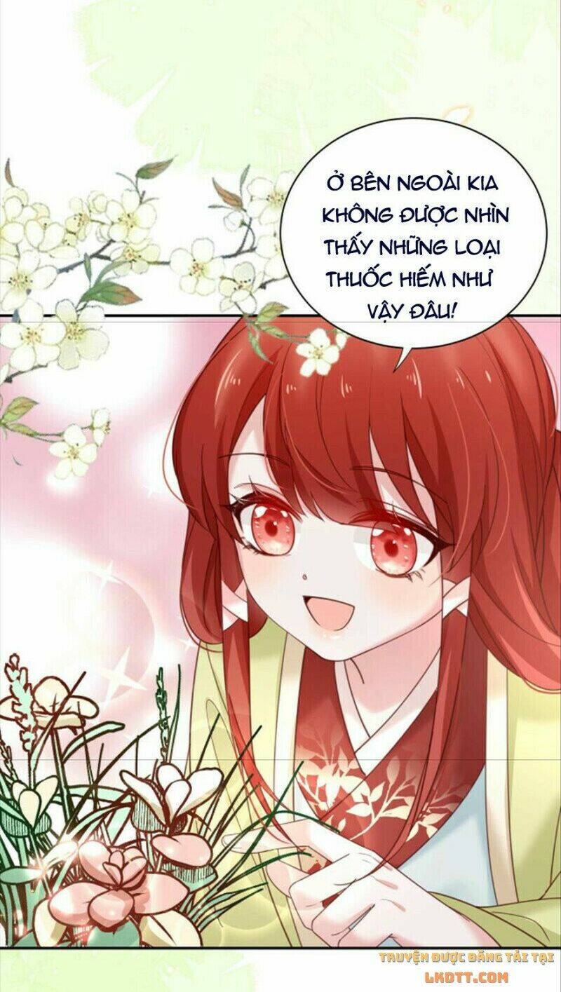 hắc hóa nam chính trực tuyến nuôi thỏ chapter 50 33