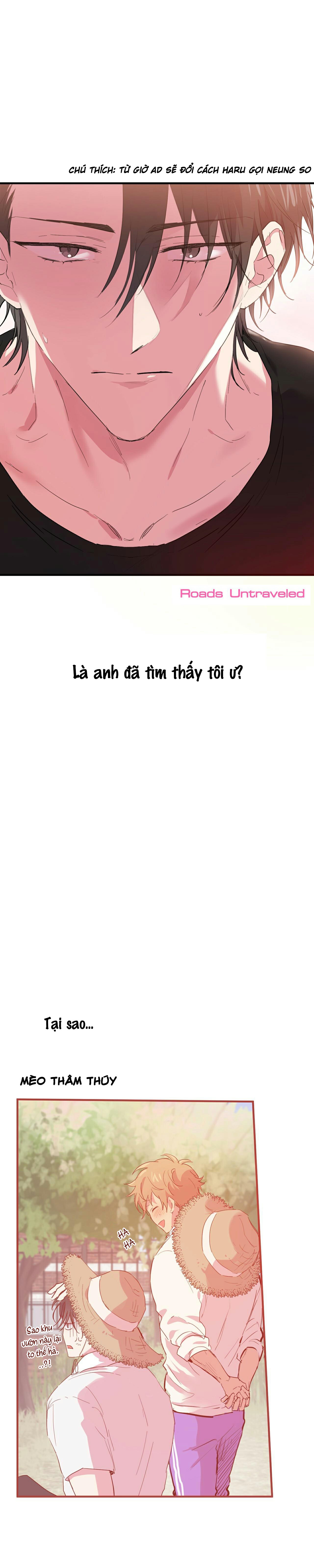 đàn thỏ của habibi chapter 11 22