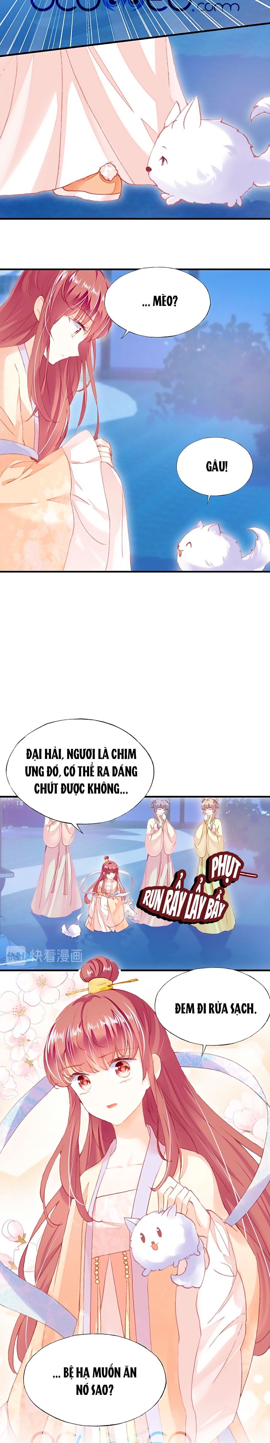 trẫm cũng không muốn quá khí phách chapter 60.5 7