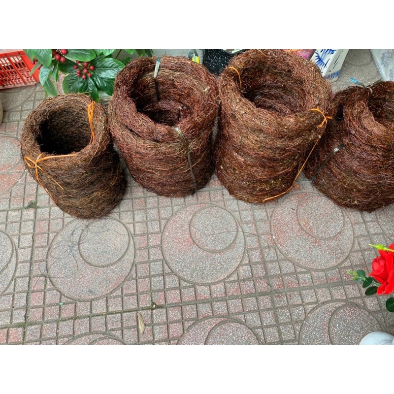 Vòng cỏ bện handmade (nhiều kích thước)