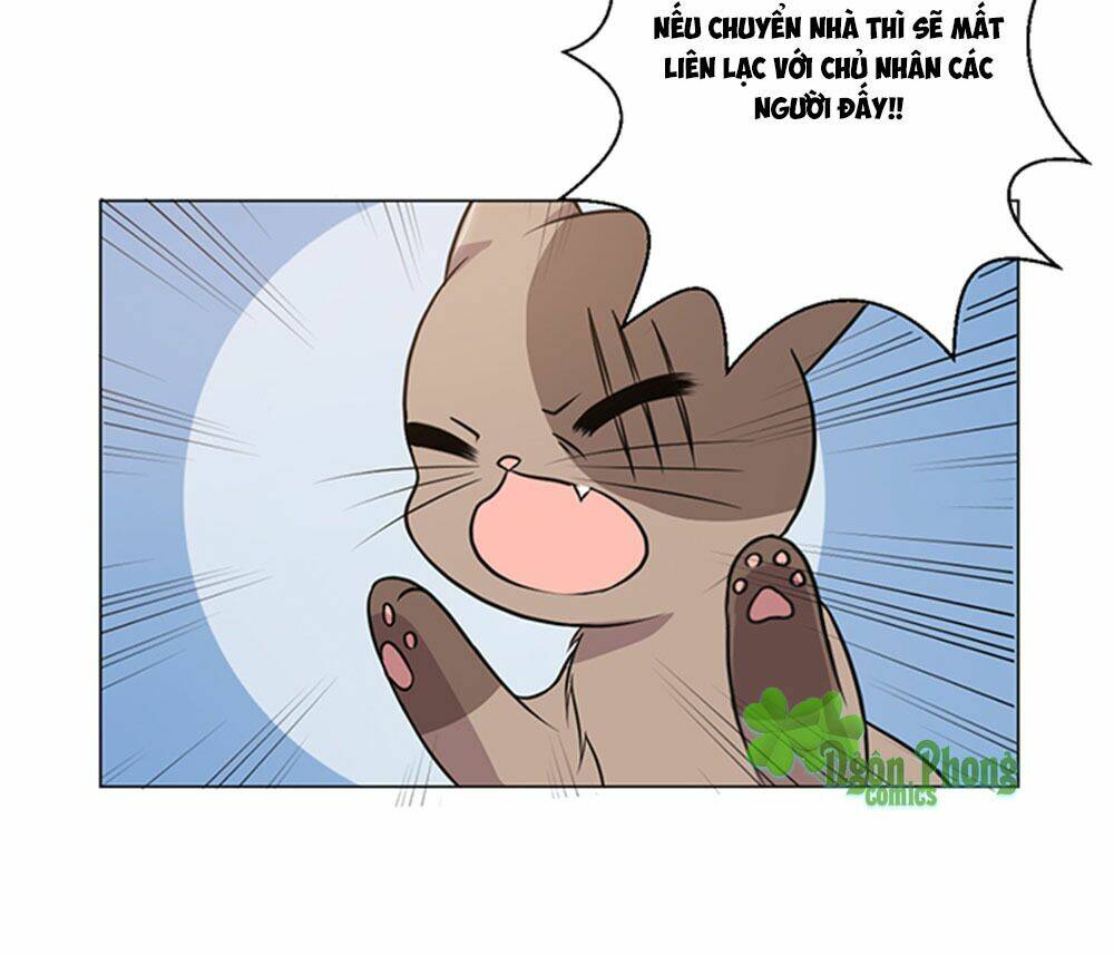 hai chú mèo totem chapter 39 46