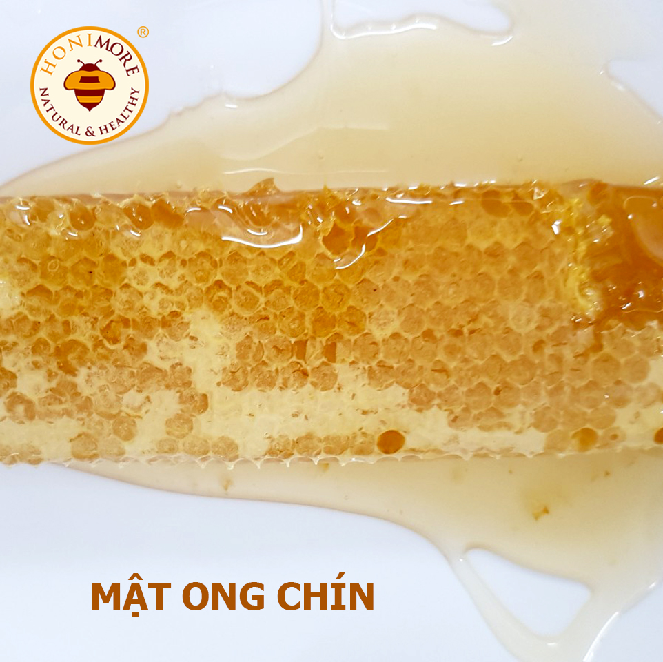 Bộ 2 chai Mật ong nguyên chất Rừng Tây Bắc - Mật ong chín Honimore Mẹ Tiên chai 500g - TẶNG 1 CHAI CÙNG SIZE