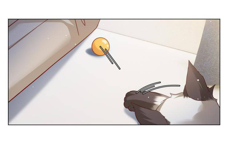 cô ấy đến rồi, xin nằm xuống! chapter 274 15