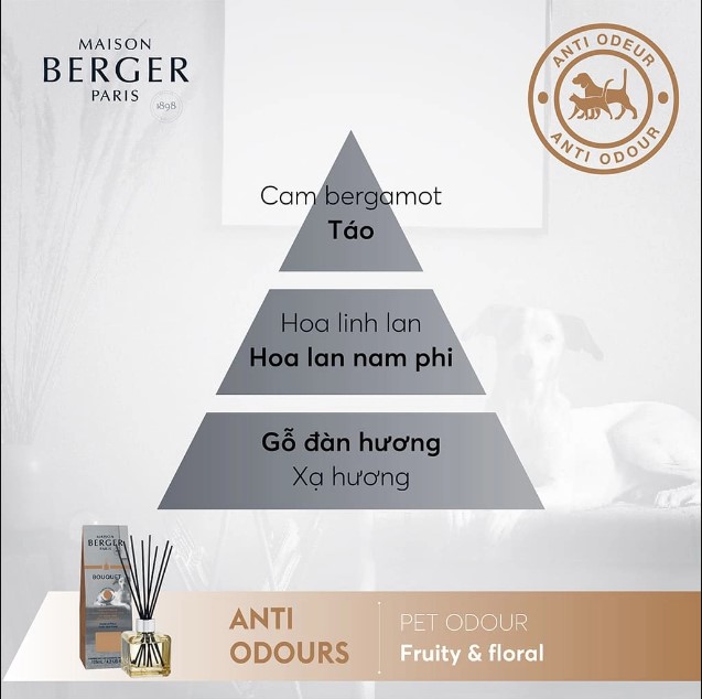Maison Berger - Tinh dầu khuếch tán, khử mùi thú cưng hương Fruity & Flora
