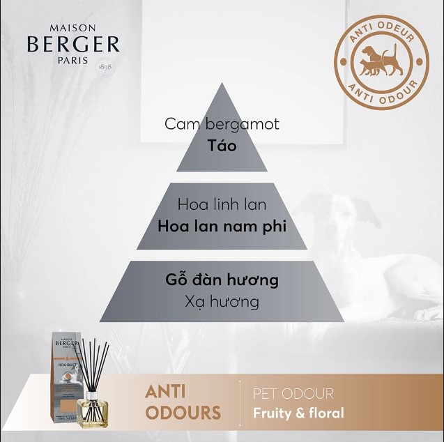 Maison Berger - Tinh dầu khuếch tán, khử mùi thú cưng hương Fruity &amp; Flora