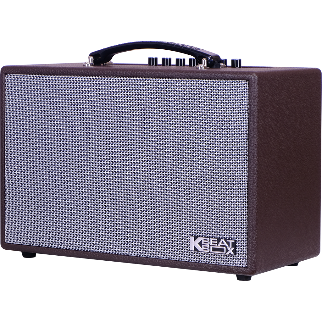 Dàn âm thanh di động xách tay mini ACNOS CS160