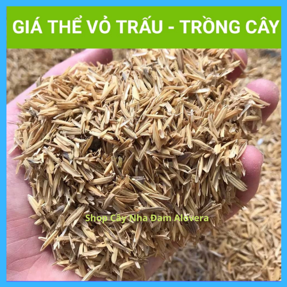 Trấu sống - Giá thể trấu sống trồng cây