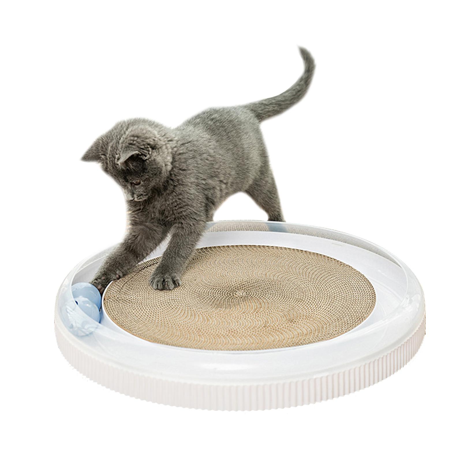 Đồ chơi tương tác vui nhộn cho mèo với 2 quả bóng và bìa cứng để giải trí