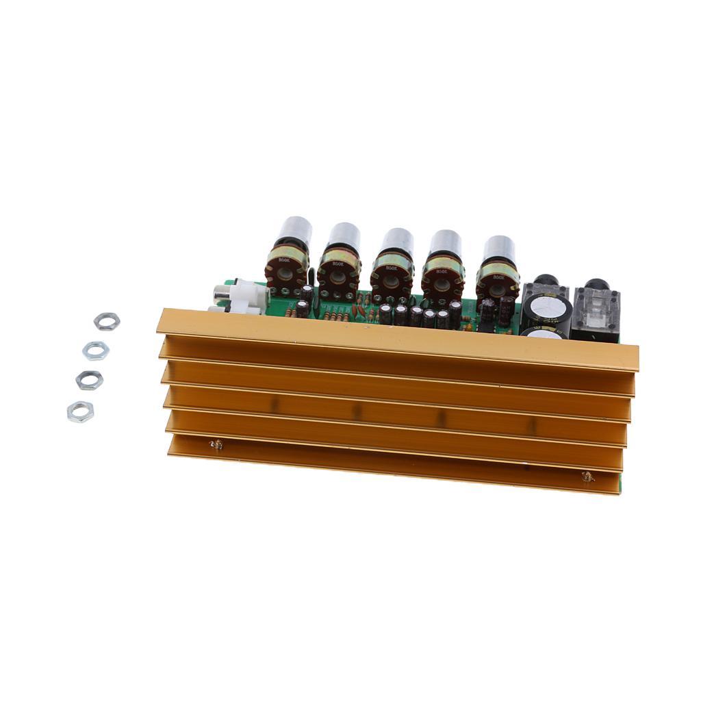 Dual Channel 100W Stereos Amplifier Board Modules with Frame Knob