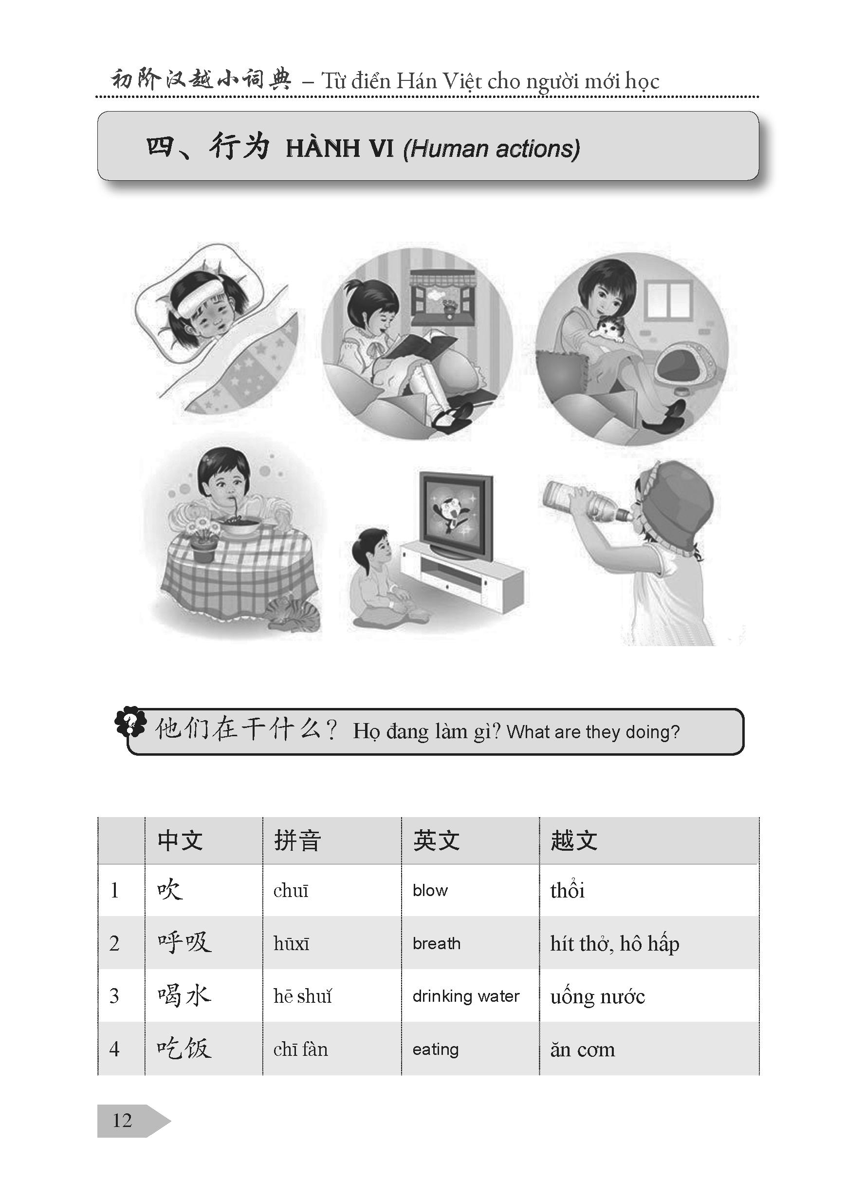 Từ Điển Hán Việt Cho Người Mới Học