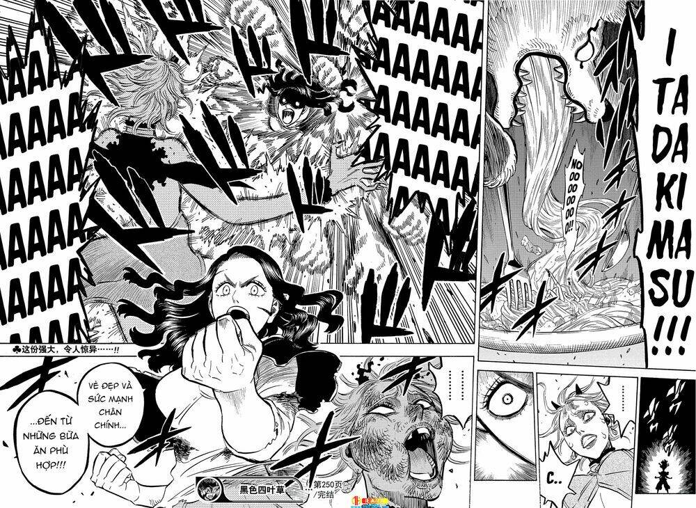 black clover - pháp sư không phép thuật chapter 250 14