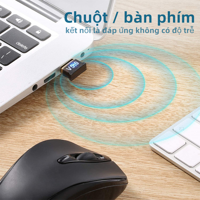 USB Bluetooth 5.0 Thu Phát Tín Hiệu 2 Trong 1,Tiện Dụng Cho Loa,Tai Nghe,Chuột,Bàn Phím, Máy Tính,Máy In