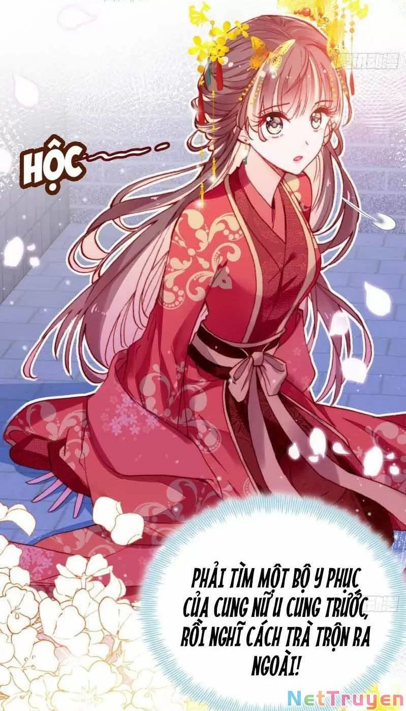 lại bị bệnh chiều chuộng quấn lấy chapter 3 5