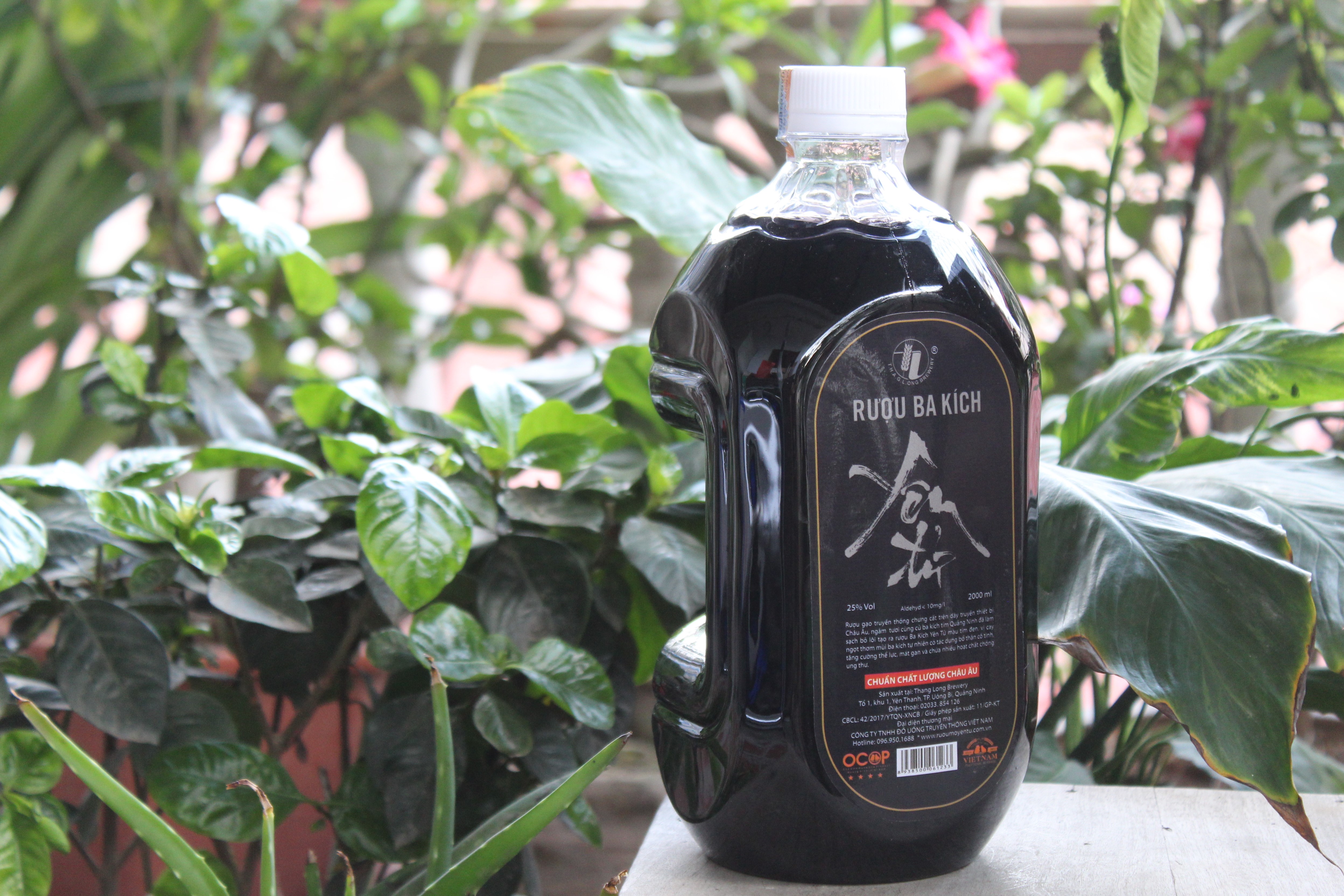 Rượu Ba Kích Yên Tử 27% Vol Chai Thủy Tinh 500ml - OCOP 4 Sao - Đặc sản Quảng Ninh