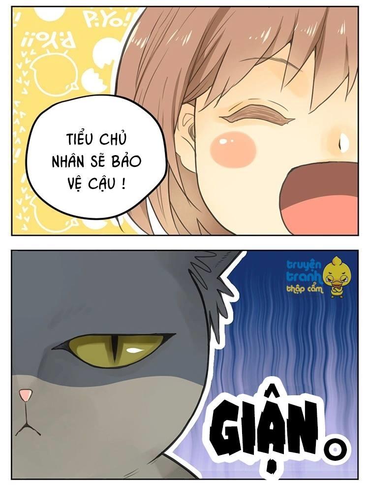cứu mạng ! loài mèo thống trị thế giới rồi ! chapter 25 9