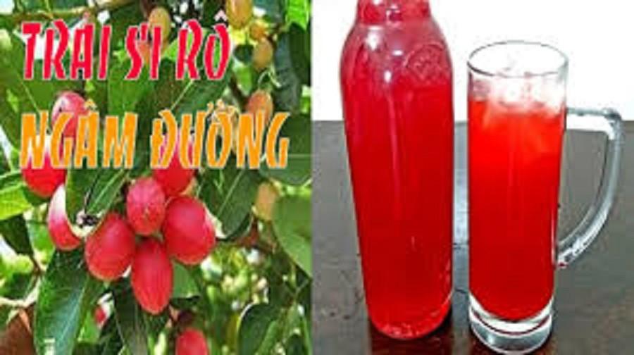 Cây giống Siro,chuẩn F1- Siro giá trị thực phẩm và dược liệu-