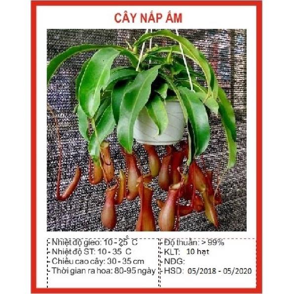 Hạt giống cây bắt mồi nắp ấm - Gói 10 hạt-kèm gói kích mầm