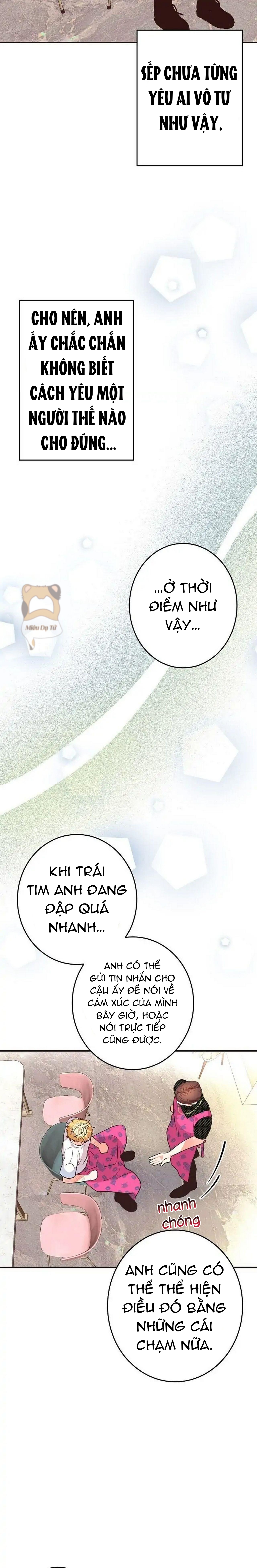 mối quan hệ phù hợp chapter 20 15