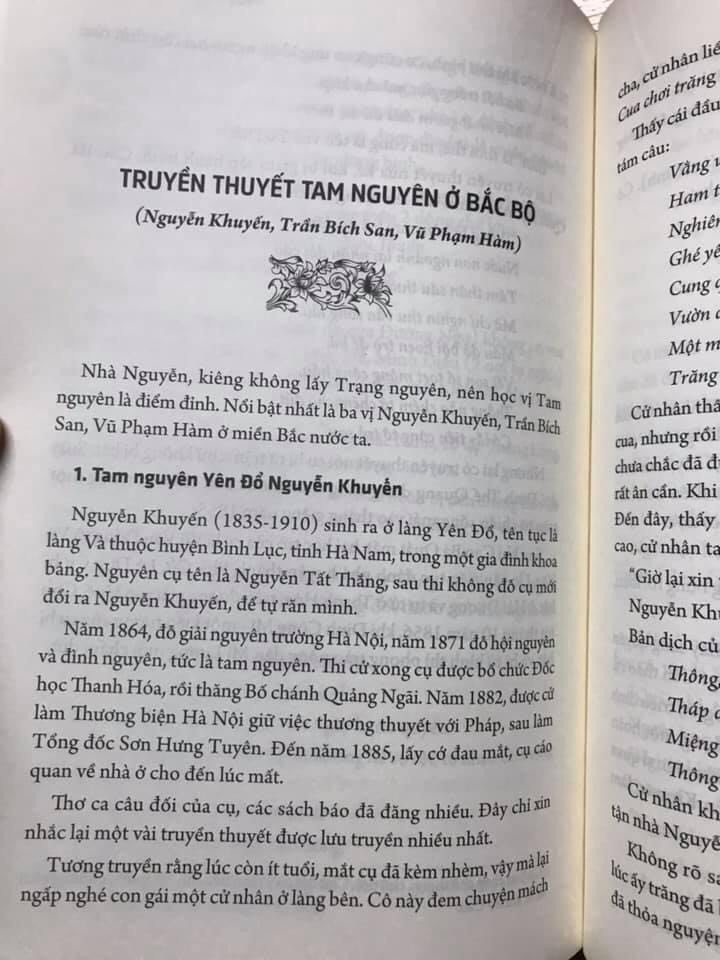 VIỆT SỬ NÓI GÌ?  - ĐINH CÔNG VĨ