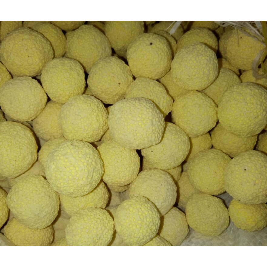 1 kg Sứ Bi Tròn Vàng Lọc Nước Hồ Cá Cảnh