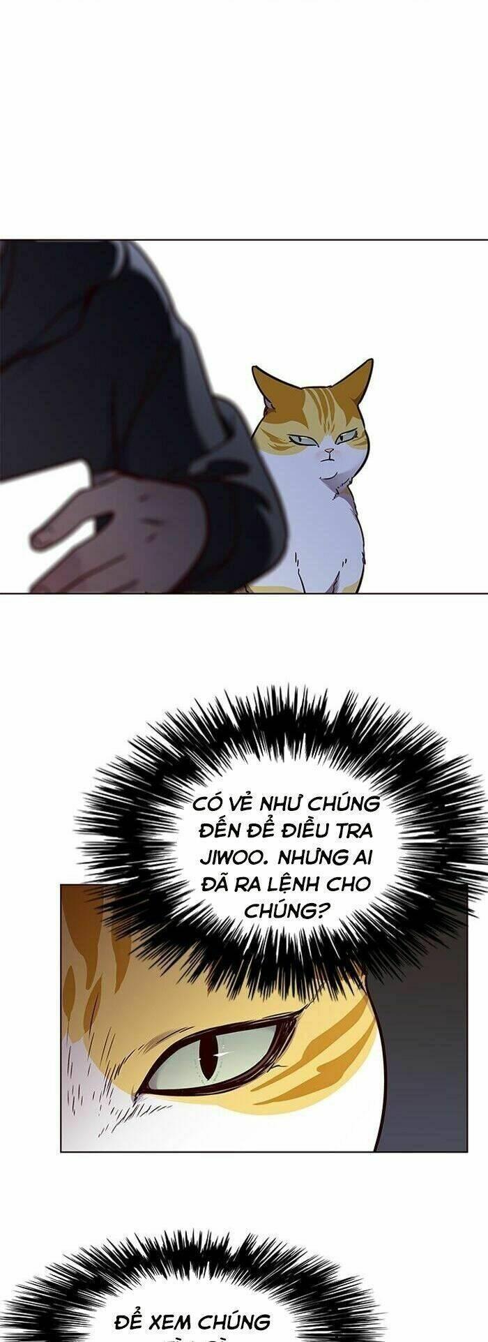 biến thân thành mèo chapter 58 4