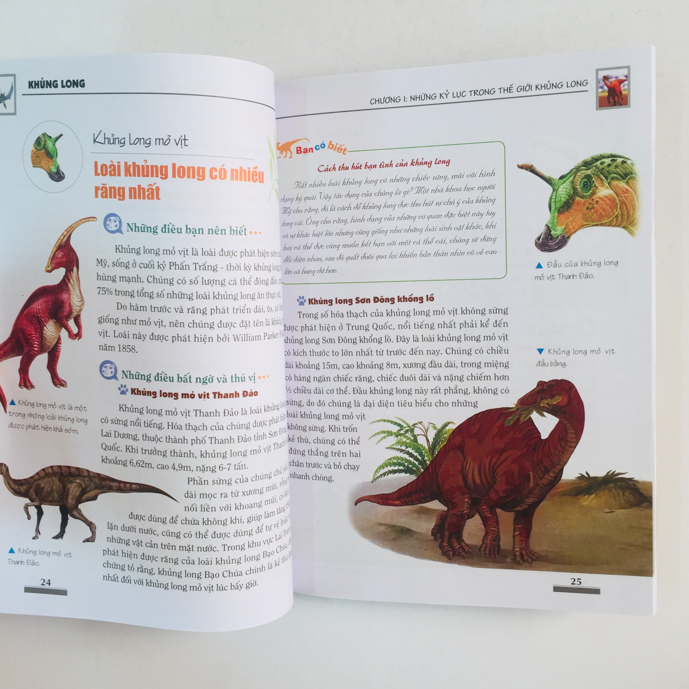 Khám Phá Bí Ẩn Thế Giới Tự Nhiên Dành Cho Học Sinh – Boxset 5 cuốn