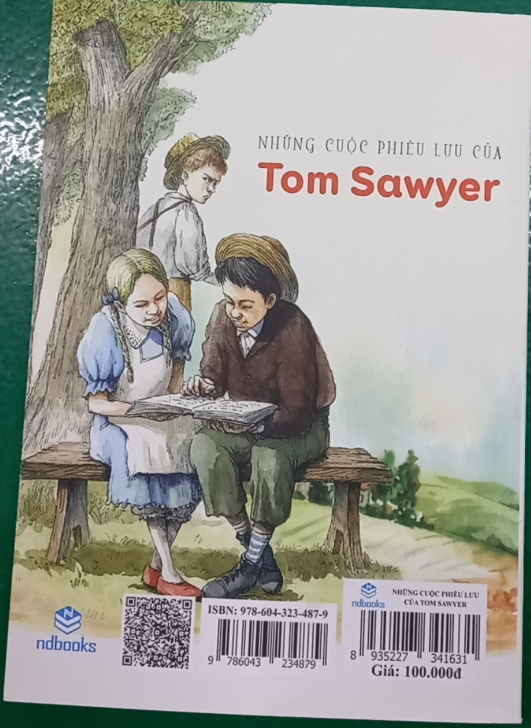 NDB - Những cuộc phiêu lưu của Tom Sawyer