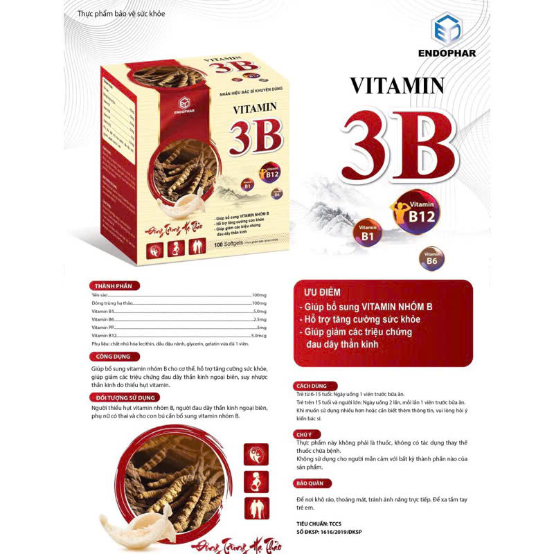 Đông Trùng Hạ Thảo VITAMIN 3B ENDOPHAR - Chính Hãng | Vỉ 10 Viên x 10 - Hỗ Trợ Sức Khỏe Toàn Diện