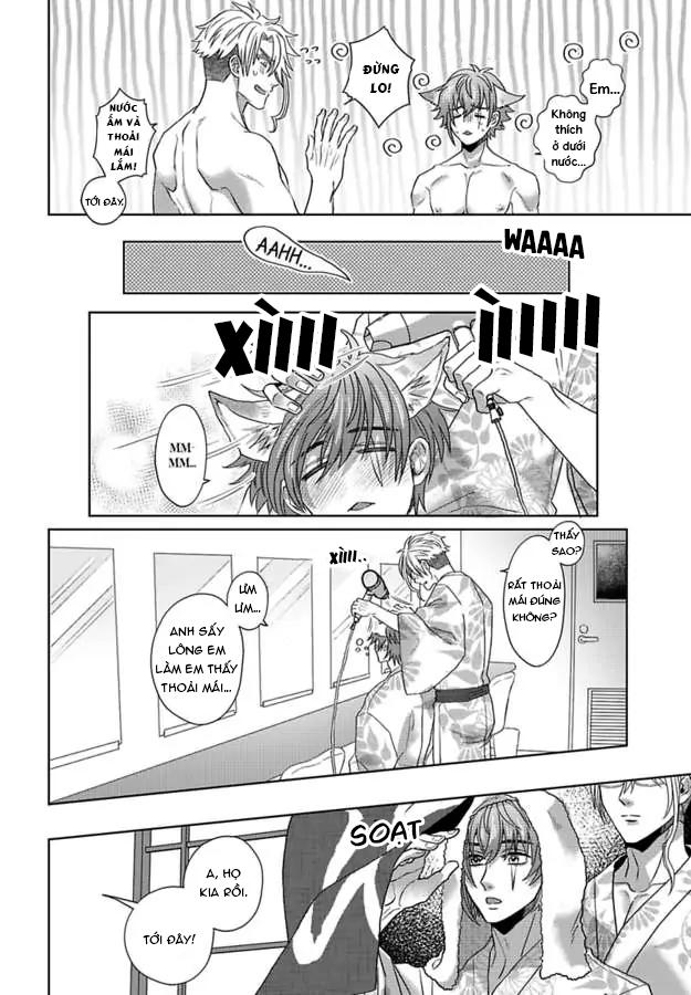 mofumofu bakashiai nikki chapter 5 9
