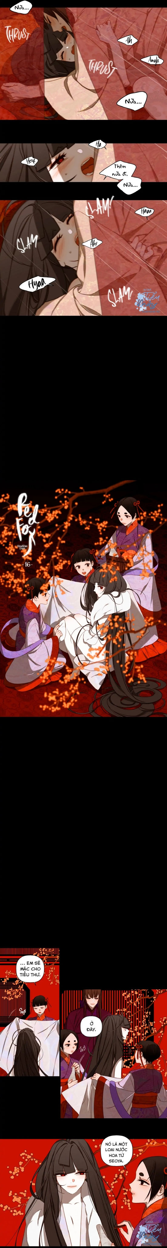 cáo đỏ - hledam chapter 16 6