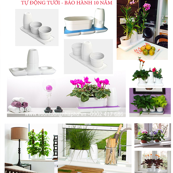 Vòng Phụ Kiện 5 Màu Color Ring Thay Thế Vòng Chậu Kit Trồng Cây Tự Dưỡng nhập khẩu Bồ Đào Nha Basic S và Basic UNO