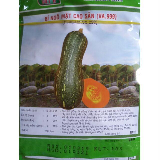 Bí ngô mật cao sản