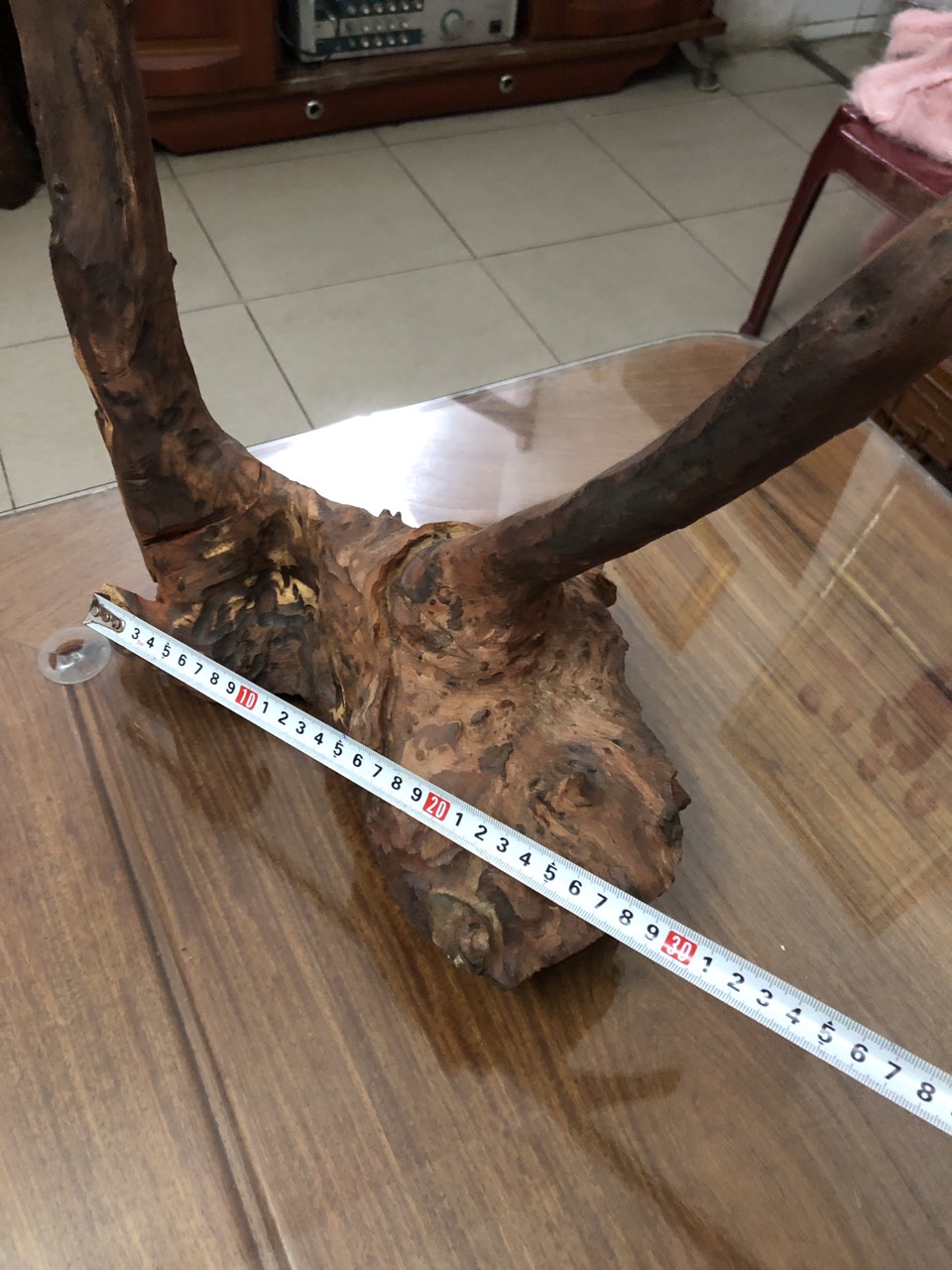 Gỗ lũa nghệ thuật ghép lan rừng Quảng trị