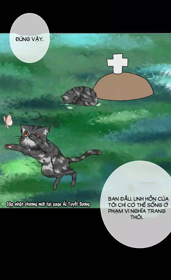 thập quang mật ngữ chapter 6 16