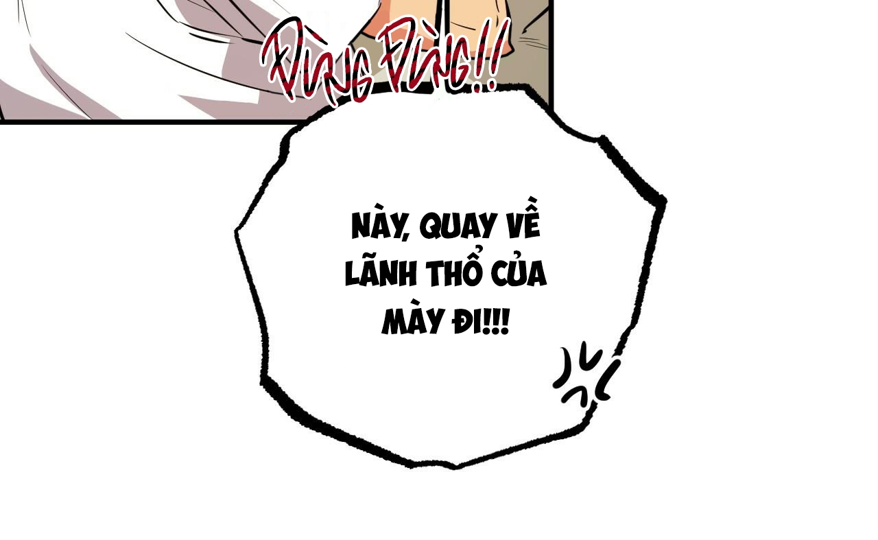 những chú thỏ của hapypy chapter 52 60