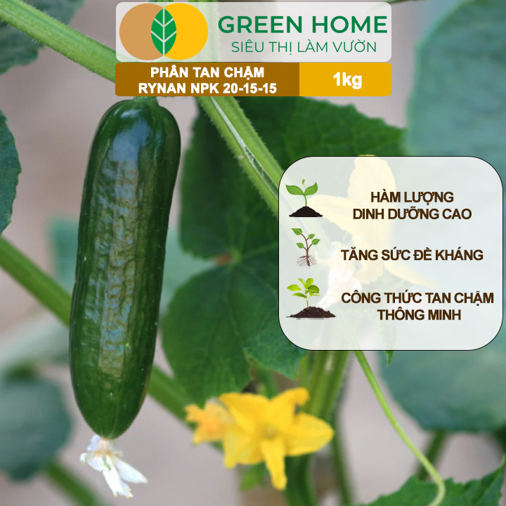 Phân Tan Chậm GreenHome, Rynan NPK 20-15-15, Túi 1kg, Dùng Cho Loại Cây Họ Leo Bầu Bí, Mướp, Dưa Leo