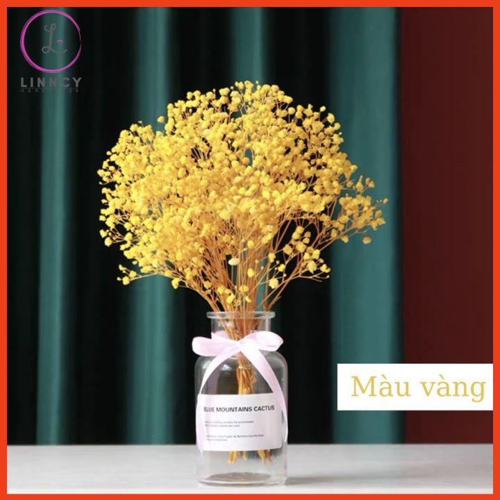 Lọ Hoa Baby Khô Cao 25cm (Gồm Cả Bình Và Hoa) Decor Nhà Cửa Quán Cafe Văn Phòng