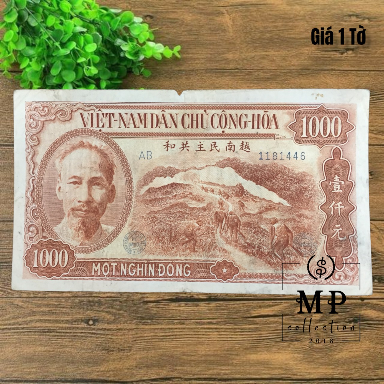 Tờ tiền hình bác Hồ mệnh giá 1000 đồng 1951 nông dân, công nhân và binh sĩ.