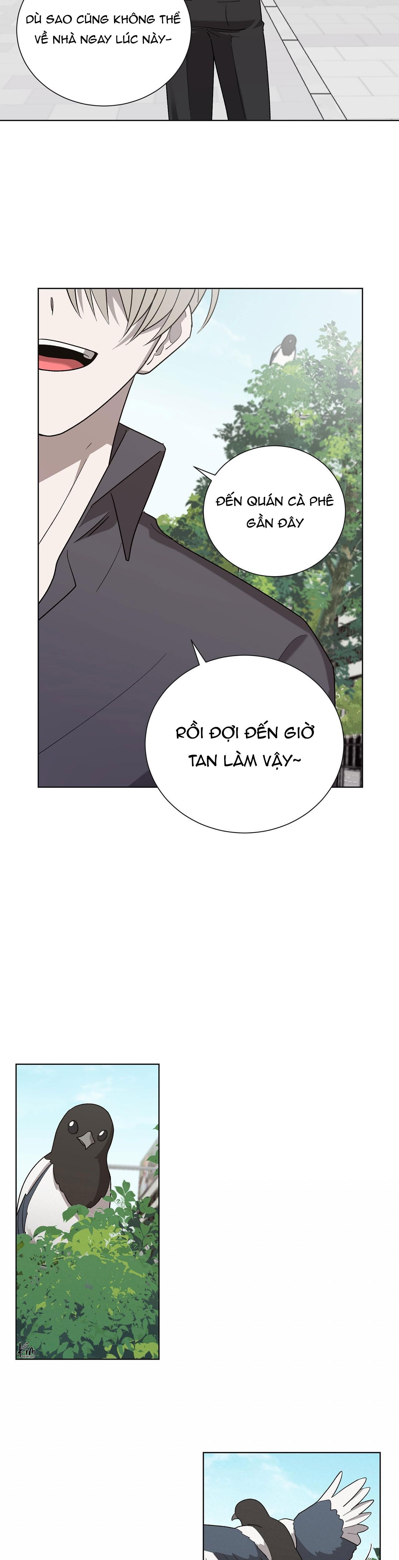 khi chim thước đến chapter 9 18