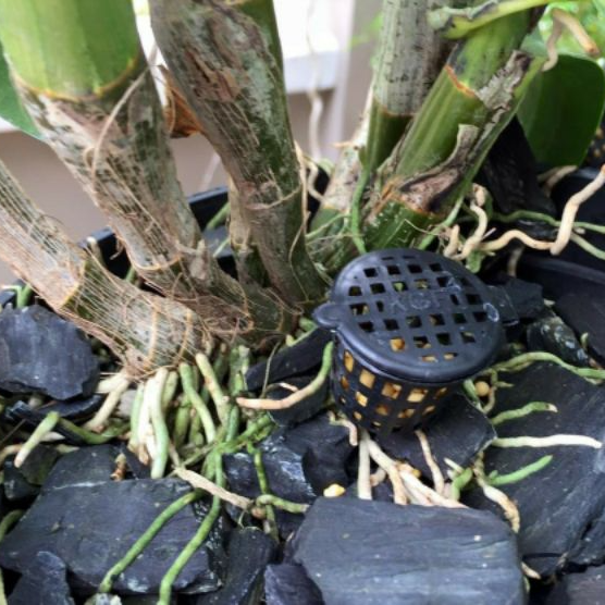RỌ ĐỰNG PHÂN TAN CHẬM 50 cái - tiết kiệm phân bón khi sử dụng