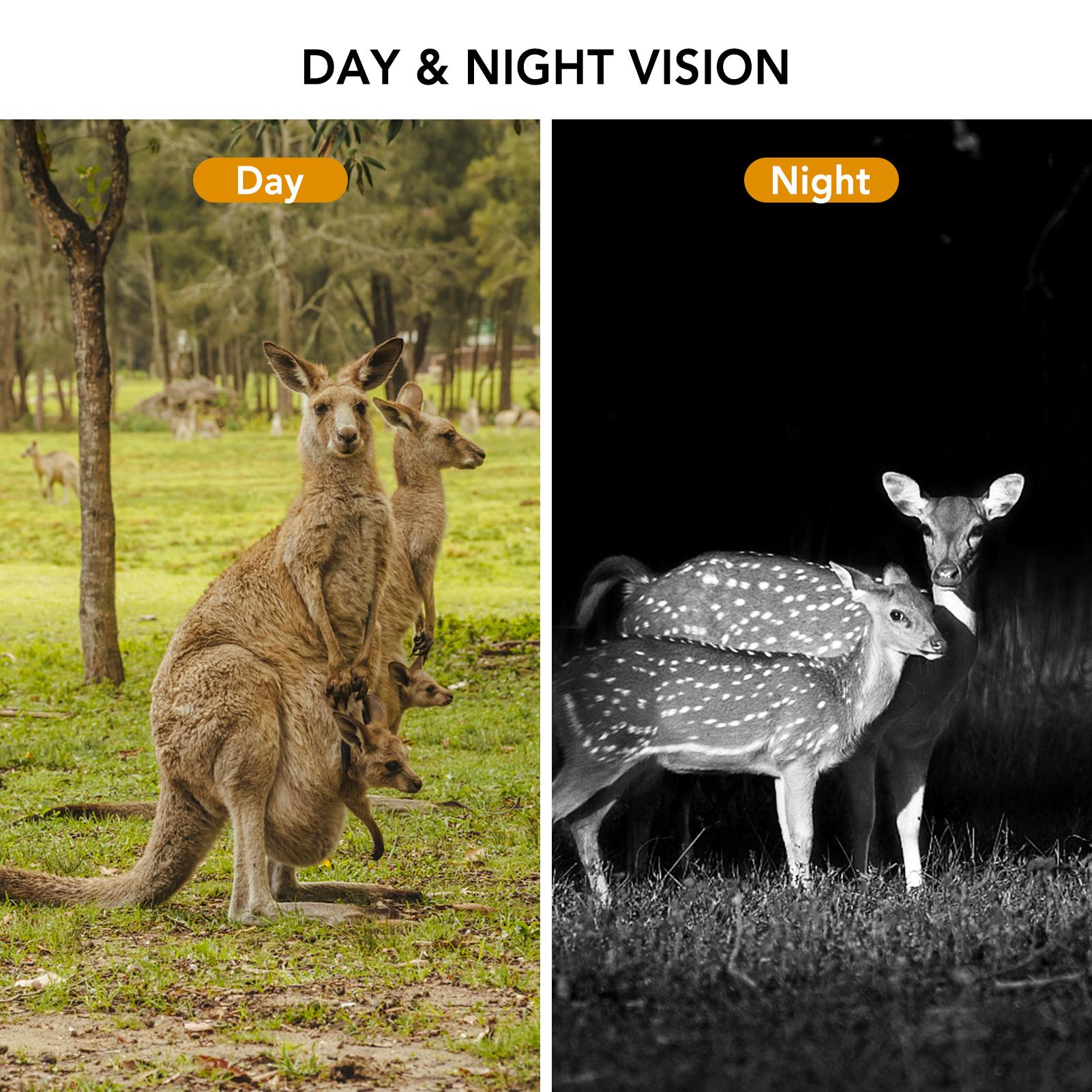 16Mp 1080P Máy Ảnh Đường Mòn Săn Bắn Máy Ảnh Máy Ảnh Hướng Đạo Động Vật Hoang Dã Ngoài Trời Với Cảm Biến Pir Hồng Ngoạimàu Đỏ Tầm Nhìn Ban Đêm